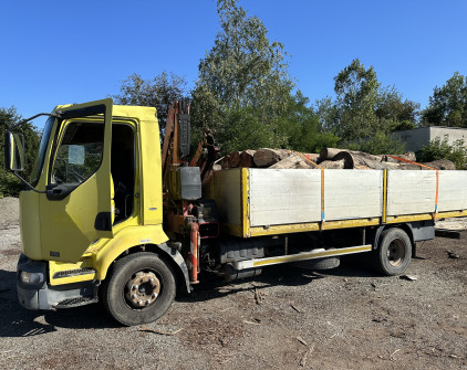 Renault Midlum s HR-img