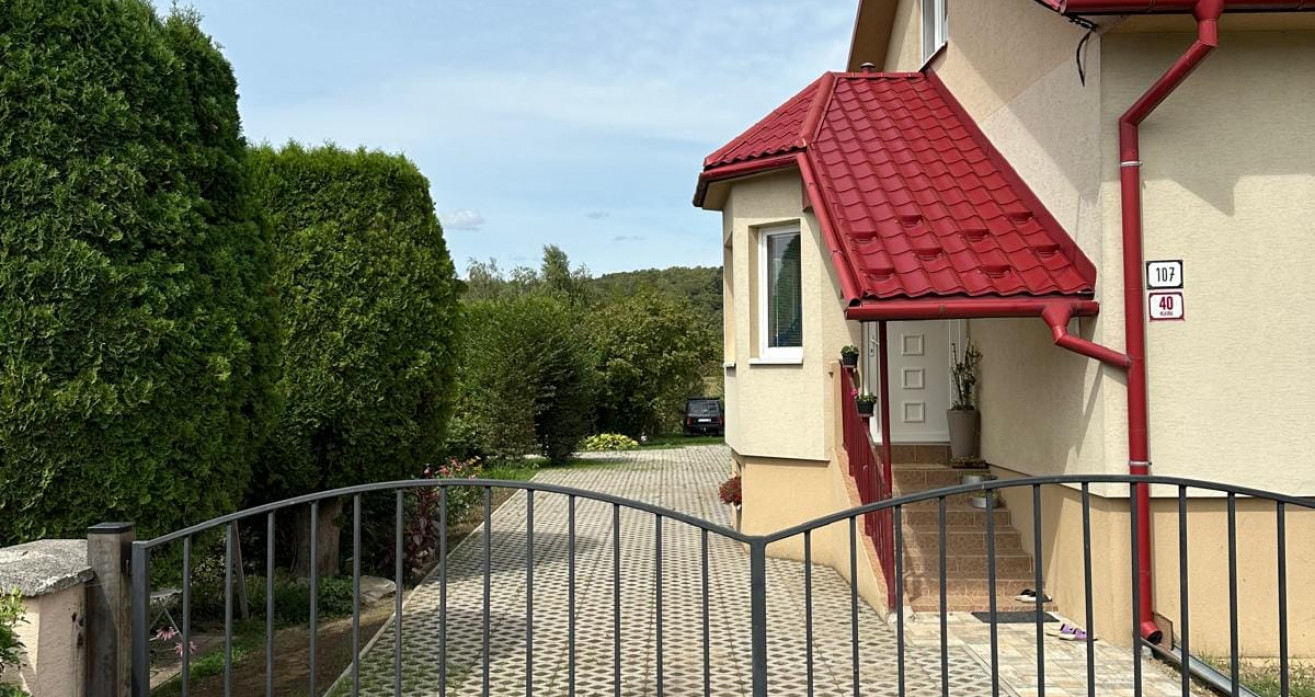 Spevnenie plochy pri rodinnom dome: zatrávňovačky + dlažba-img